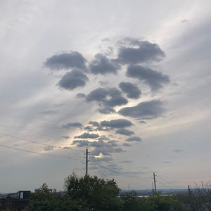 Meet your Posher, Nellylynn